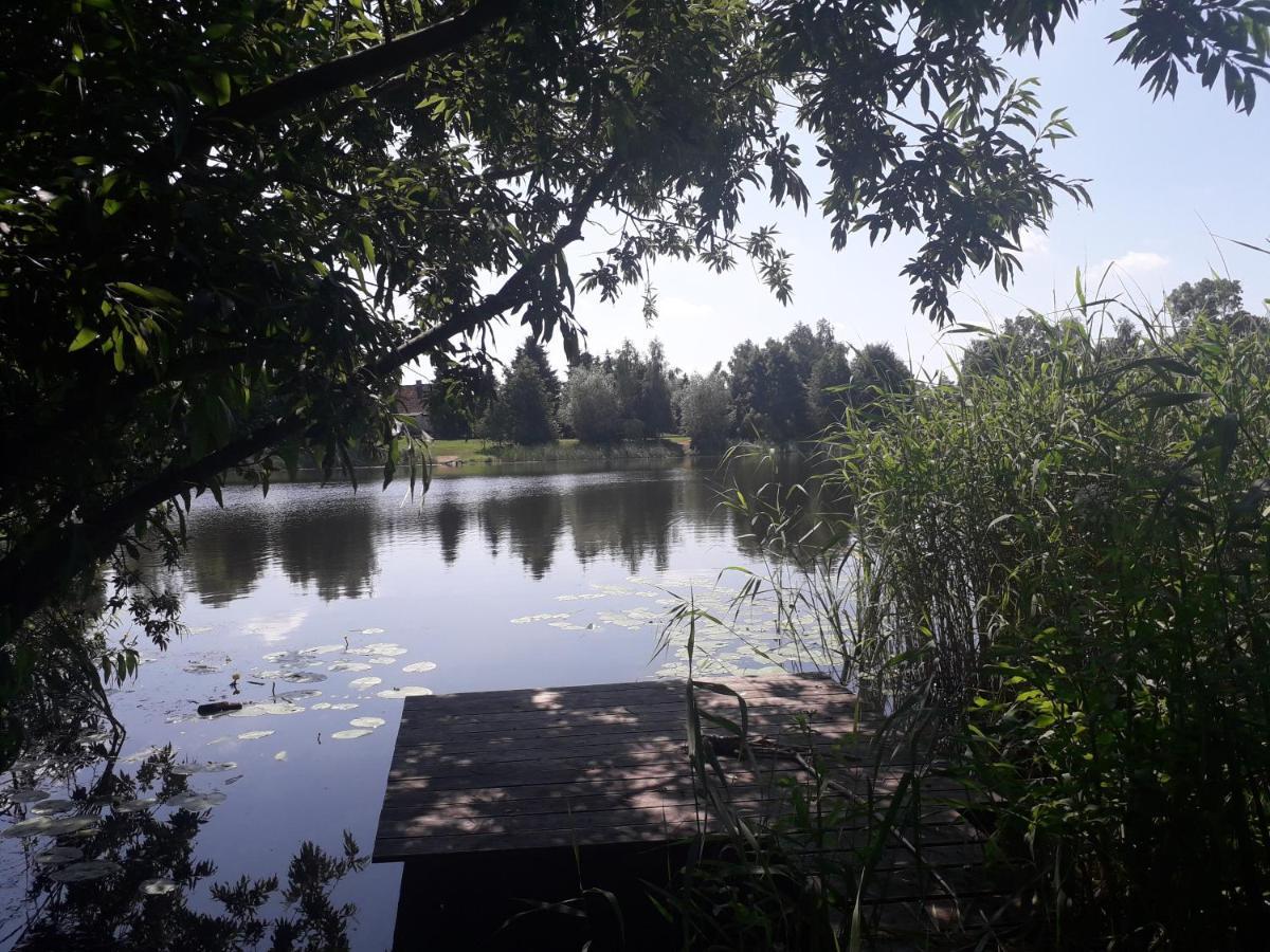 Mala Baza Stobna 5 Daire Nowy Dwór Gdański Dış mekan fotoğraf
